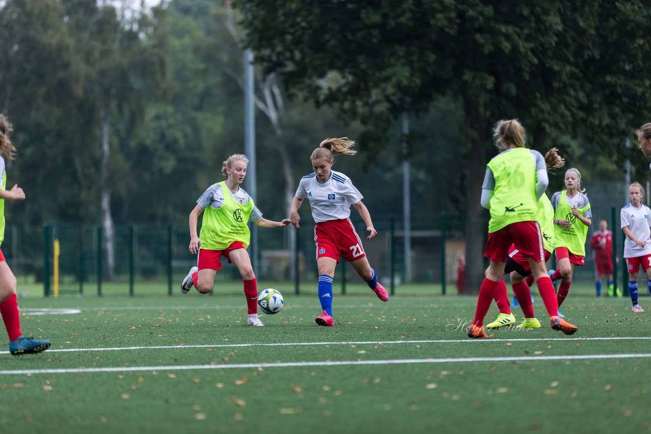 Bild 342 - C-Juniorinnen HSV - Walddoerfer : Ergebnis: 9:1